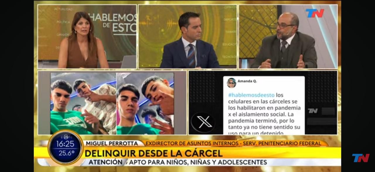 TN análisis